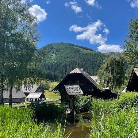 Ferienhaus Bettina Rassis Feriendorf Donnersbachwald Bagian luar foto