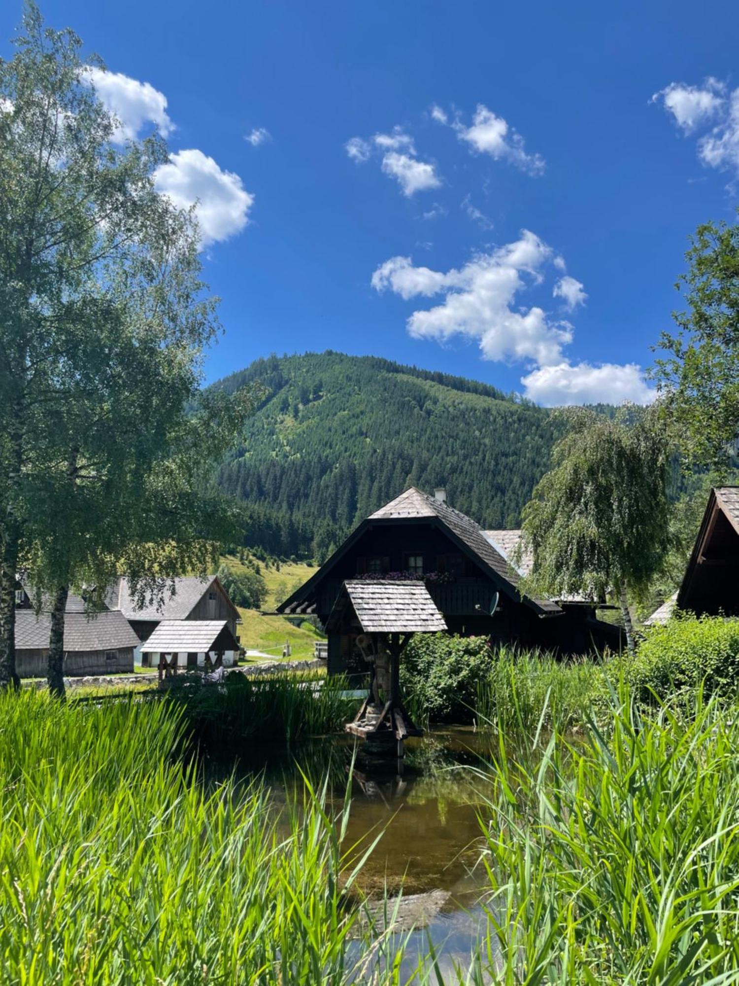 Ferienhaus Bettina Rassis Feriendorf Donnersbachwald Bagian luar foto